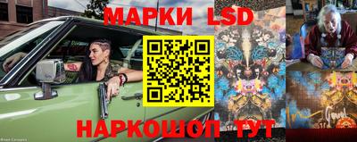 стаф Заводоуковск